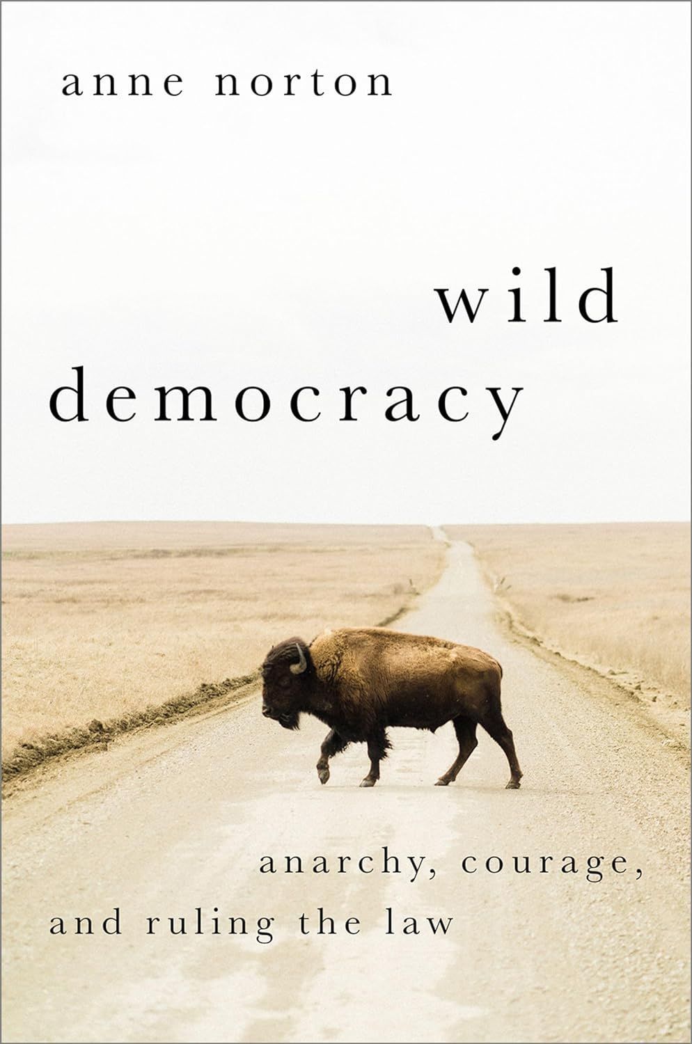 Rewilding Democracy: On Anne Norton’s “Wild Democracy”