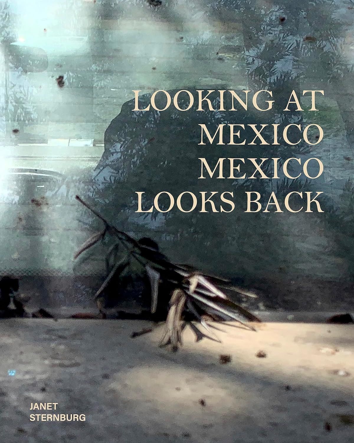 Multifaceted Portals of Discovery: On Janet Sternburg’s “Looking at Mexico / Mexico Looks Back”