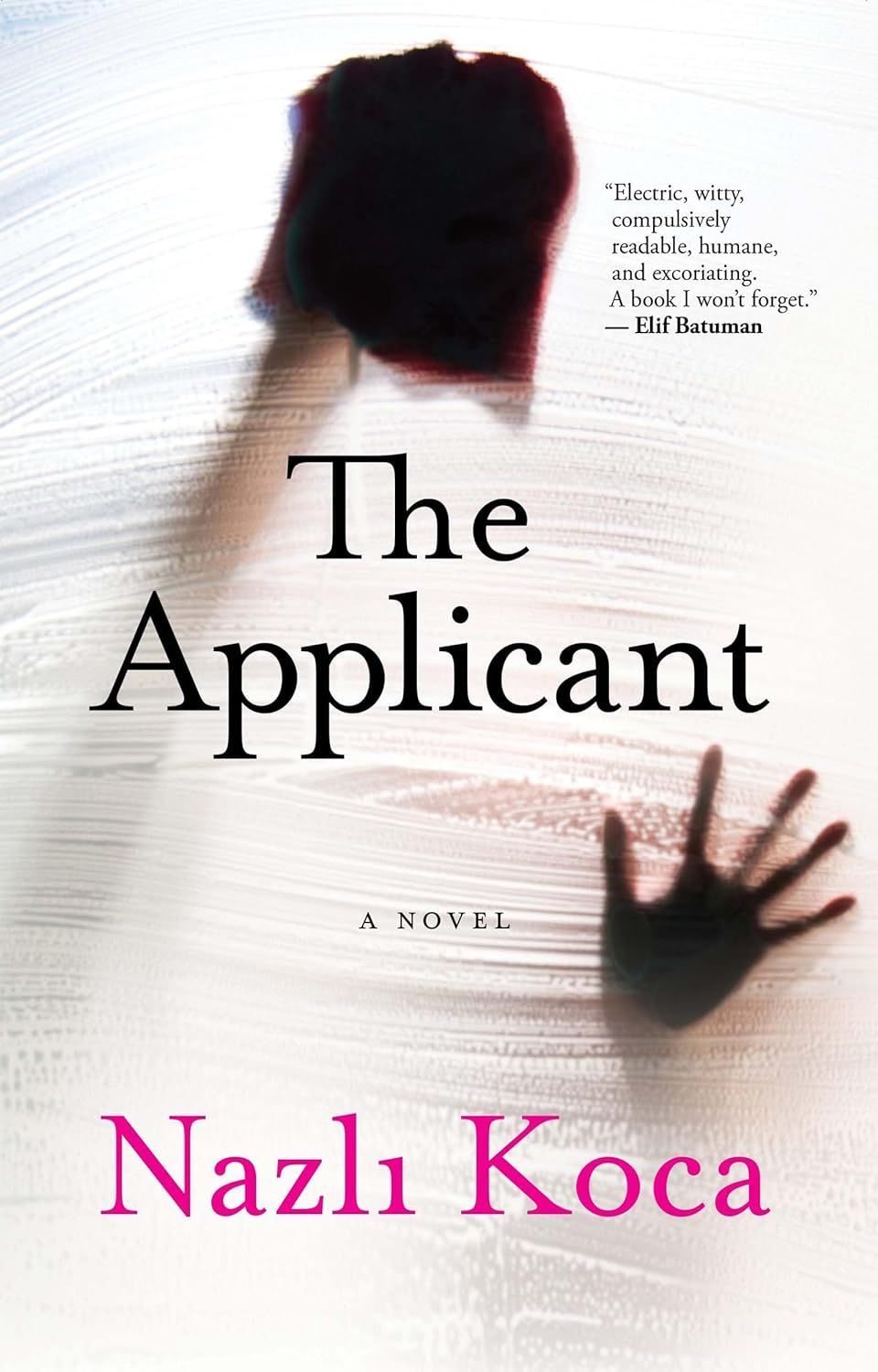 Whatever I Can Have, Nothing I Want: On Nazlı Koca’s “The Applicant”